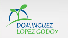 Volver al home | DLG Asesores y Productores de Seguros
